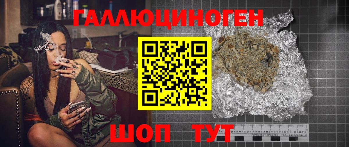 Котовск  Псилоцибиновые грибы Psilocybe  Вход с VPN  Галлюциногенные грибы мухоморы 
