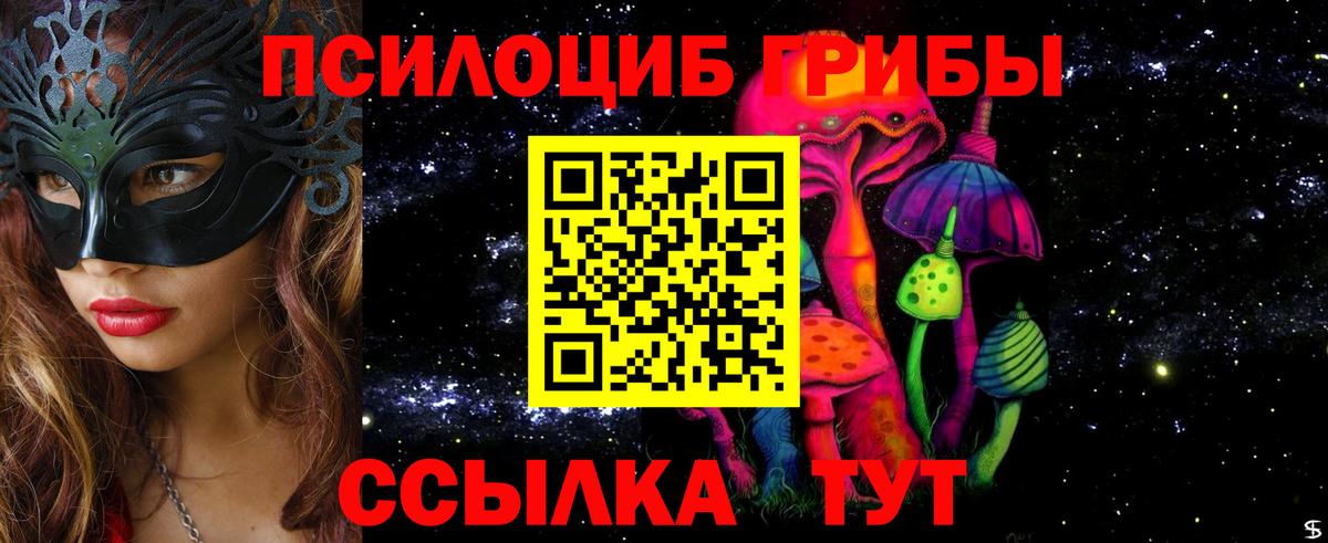 Псилоцибиновые грибы мицелий Котовск